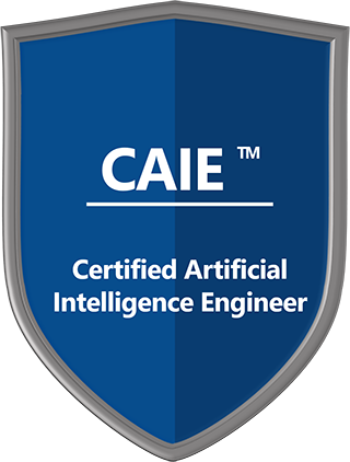 Certified Intelligence Engineer Engineer